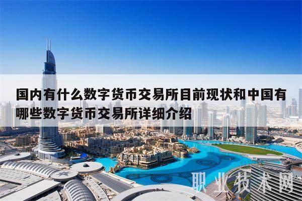 国内有什么数字货币交易所目前现状和中国有哪些数字货币交易所详细介绍-第1张图片-芝麻交易所下载